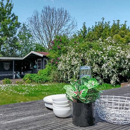 Gorgeous Home In Scharendijke With Kitchen Zewnętrze zdjęcie
